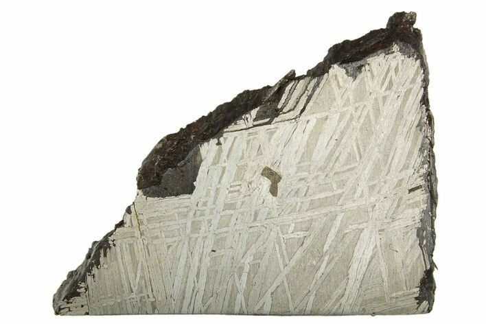 Etched Muonionalusta Meteorite Slice ( g) - Sweden #320313